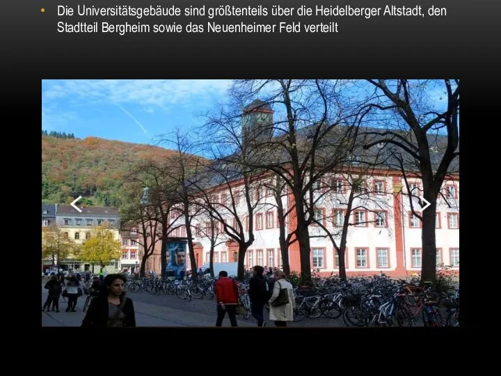 Die Universitätsgebäude sind größtenteils über die Heidelberger Altstadt, den Stadtteil Bergheim sowie das Neuenheimer Feld verteilt