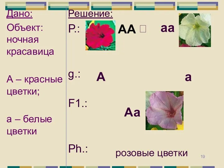 АА аа А а Аа розовые цветки