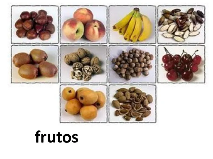 frutos
