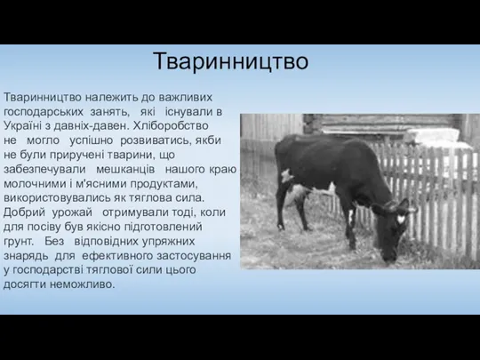 Тваринництво Тваринництво належить до важливих господарських занять, які існували в Україні з