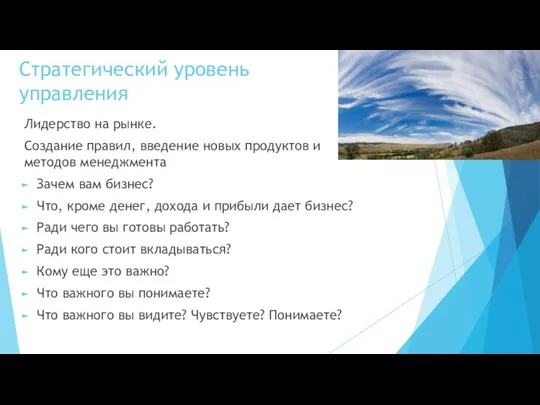 Стратегический уровень управления Лидерство на рынке. Создание правил, введение новых продуктов и