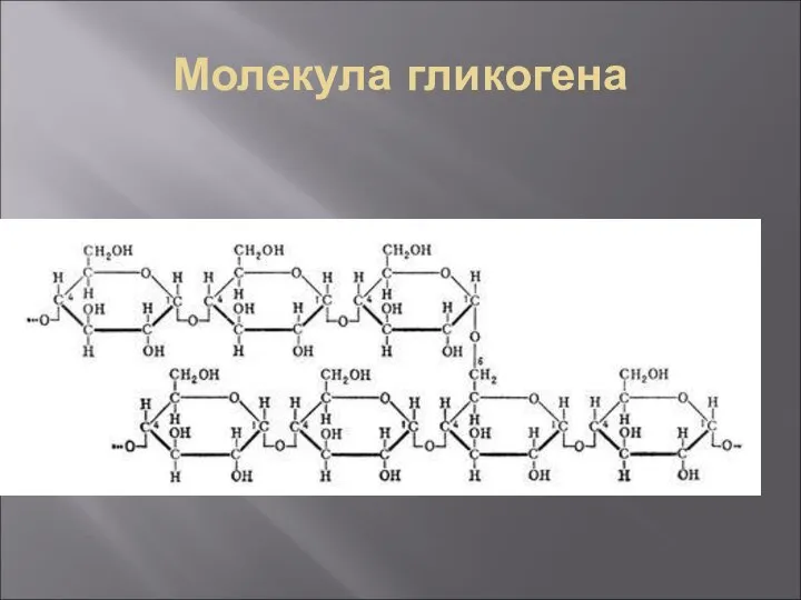 Молекула гликогена