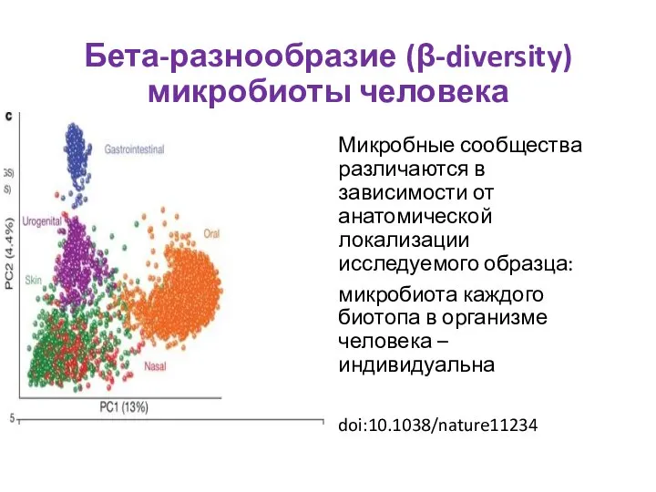 Бета-разнообразие (β-diversity) микробиоты человека Микробные сообщества различаются в зависимости от анатомической локализации