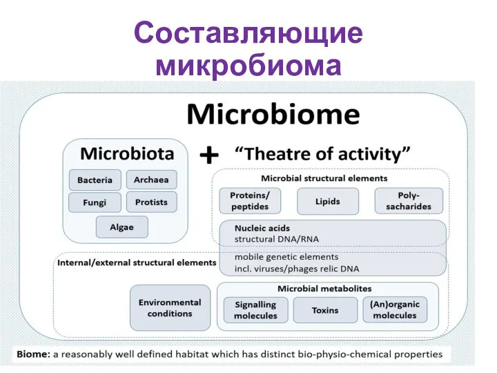 Составляющие микробиома https://doi.org/10.1186/s40168-020-00875-0