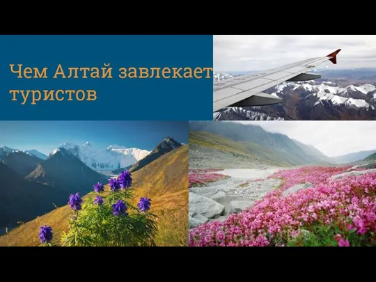 Чем Алтай завлекает туристов