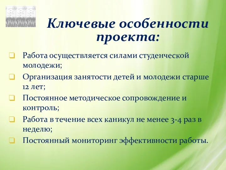 Ключевые особенности проекта: Работа осуществляется силами студенческой молодежи; Организация занятости детей и