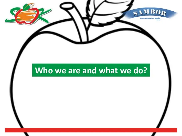 Sambor. Who we are and what we do?
