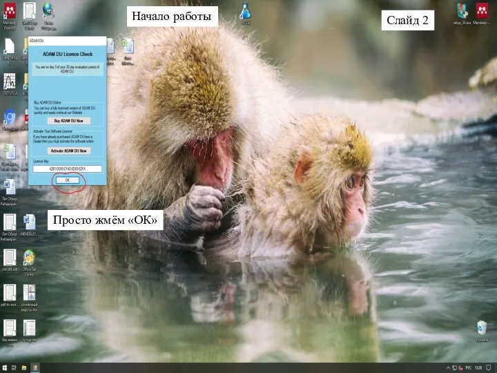 Просто жмём «ОК» Начало работы Слайд 2