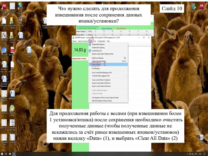 Для продолжения работы с весами (при взвешивании более 1 установки/ящика) после сохранения