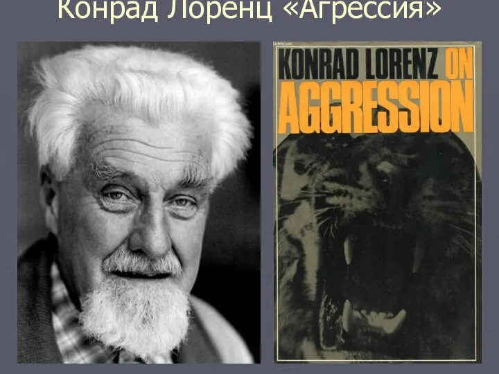 Конрад Лоренц «Агрессия»