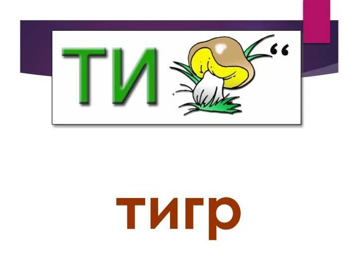 тигр