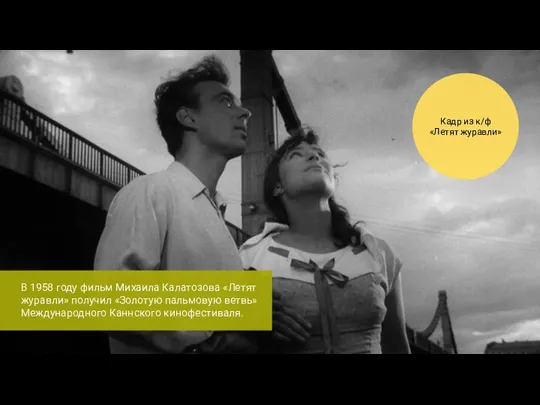 В 1958 году фильм Михаила Калатозова «Летят журавли» получил «Золотую пальмовую ветвь»