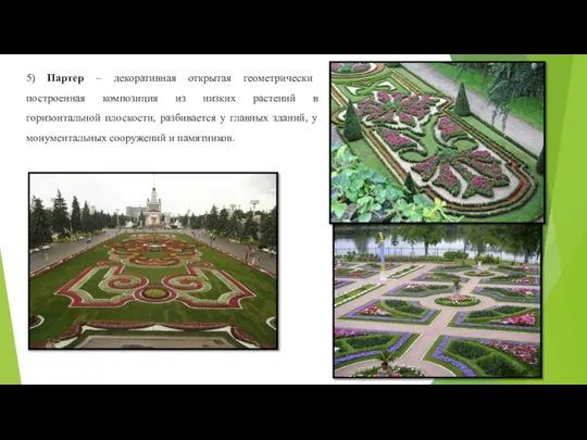 5) Партер – декоративная открытая геометрически построенная композиция из низких растений в