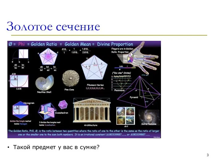 Золотое сечение Такой предмет у вас в сумке?