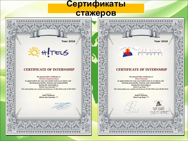 Сертификаты стажеров