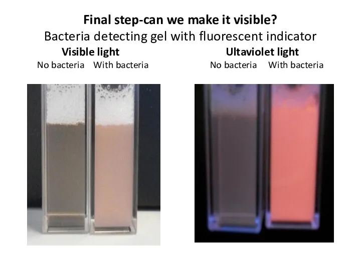 Final step-can we make it visible? Bacteria detecting gel with fluorescent indicator