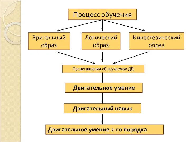 Процесс обучения Зрительный образ Логический образ Кинестезический образ Представления об изучаемом ДД