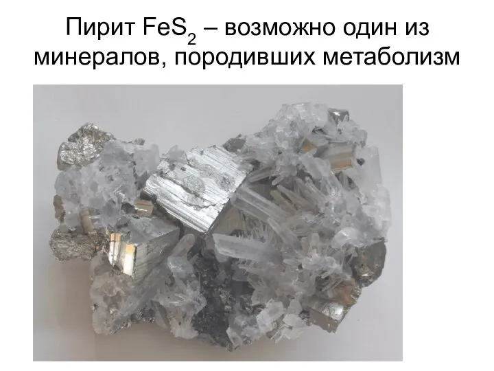 Пирит FeS2 – возможно один из минералов, породивших метаболизм