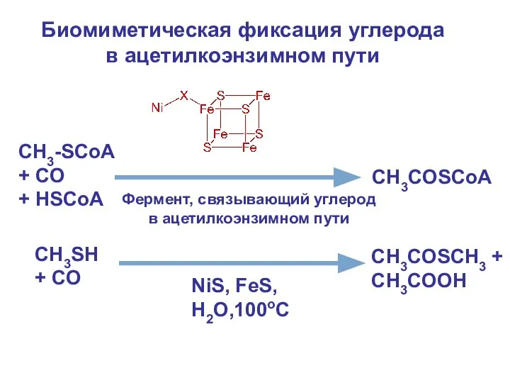 Биомиметическая фиксация углерода в ацетилкоэнзимном пути CH3-SСоА + CO + HSCoA CH3COSCoA