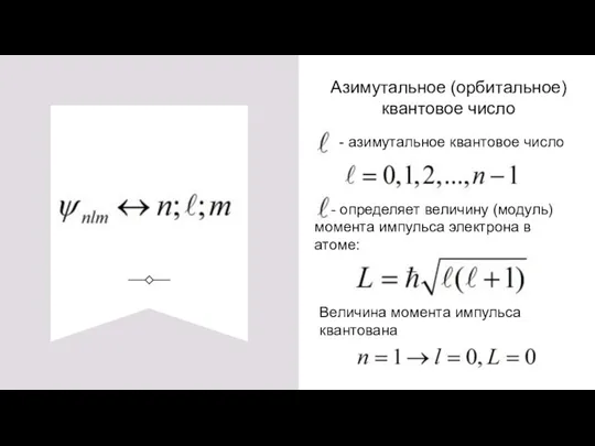 Азимутальное (орбитальное) квантовое число - азимутальное квантовое число - определяет величину (модуль)