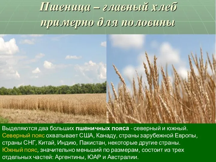 Выделяются два больших пшеничных пояса - северный и южный. Северный пояс охватывает