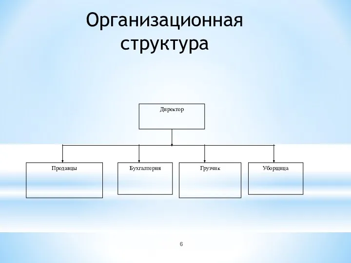 Организационная структура