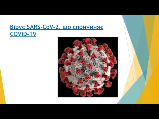 Вірус SARS-CoV-2, що спричиняє COVID-19