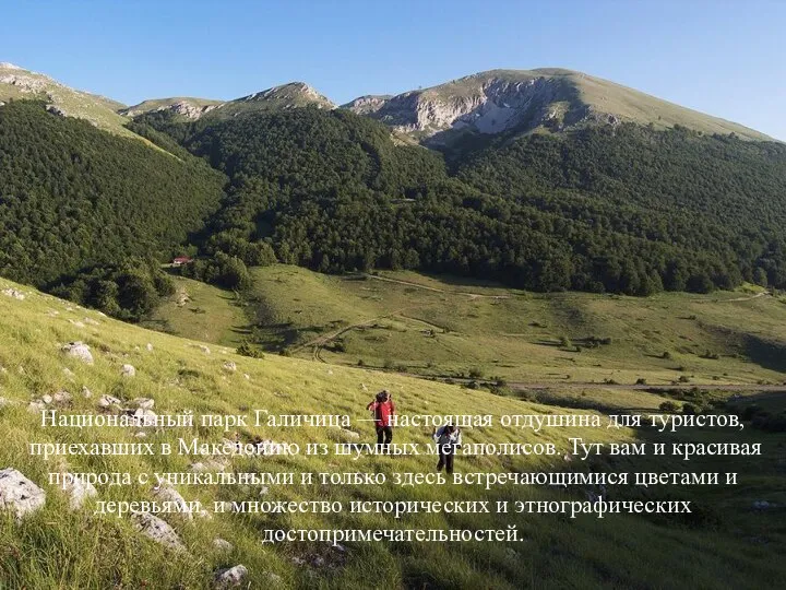 Национальный парк Галичица — настоящая отдушина для туристов, приехавших в Македонию из
