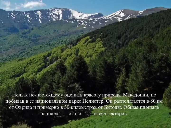 Нельзя по-настоящему оценить красоту природы Македонии, не побывав в ее национальном парке