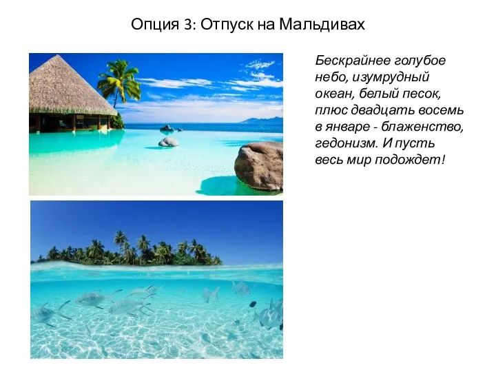 Опция 3: Отпуск на Мальдивах Бескрайнее голубое небо, изумрудный океан, белый песок,