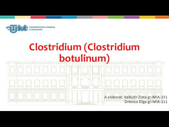 Clostridium (Clostridium botulinum) A elaborat: Babijdir Zlata gr.IMIA-211 Orlenco Olga gr.IMIA-211