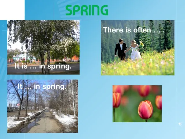 SPRING It is … in spring. It … in spring. There is often … .