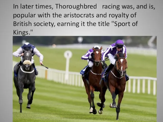 In later times, Thoroughbred racing was, and is, popular with the aristocrats
