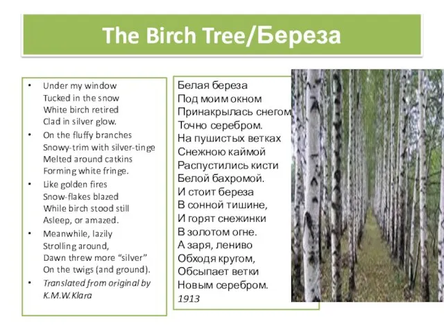The Birch Tree/Береза Under my window Tucked in the snow White birch