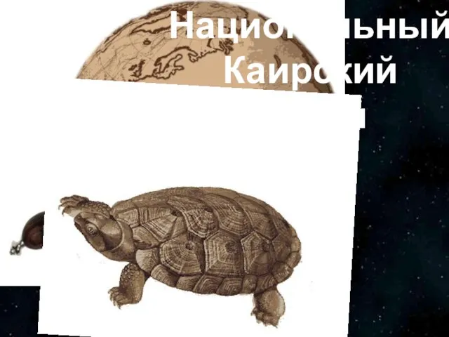 Национальный Каирский Музей