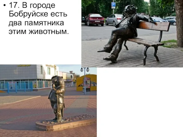 17. В городе Бобруйске есть два памятника этим животным.
