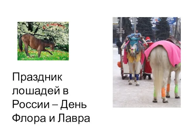 Праздник лошадей в России – День Флора и Лавра