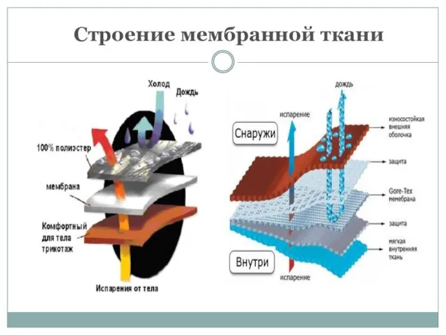 Строение мембранной ткани