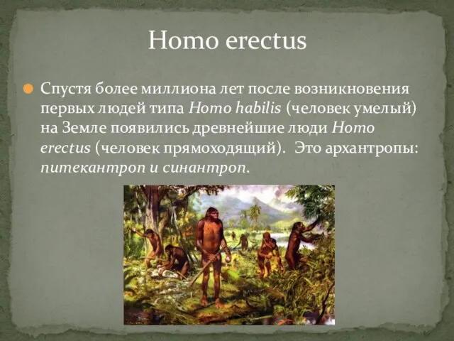 Homo erectus Спустя более миллиона лет после возникновения первых людей типа Homo