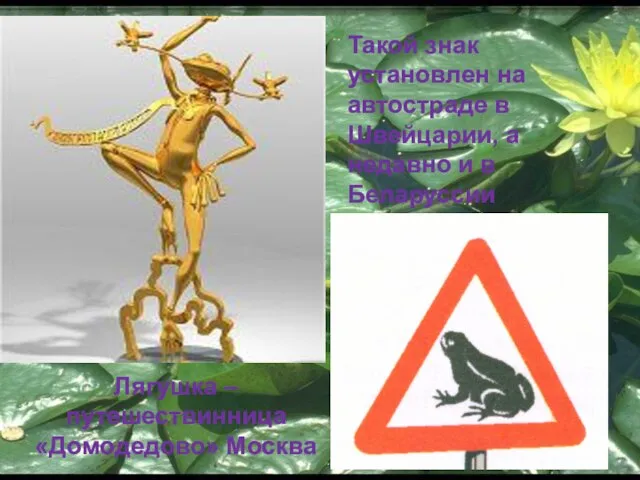 Лягушка – путешествинница «Домодедово» Москва Такой знак установлен на автостраде в Швейцарии,