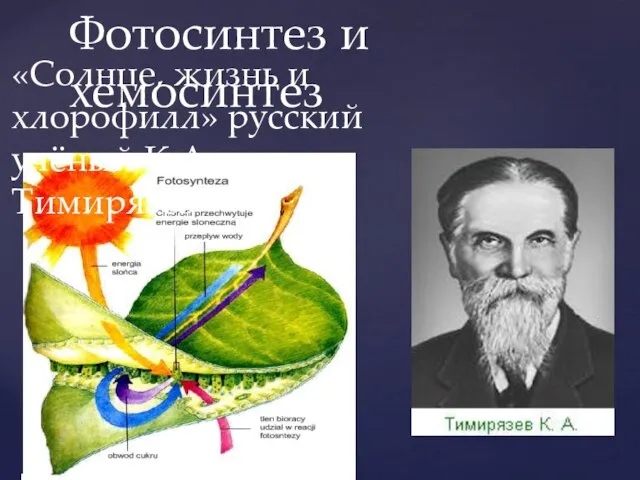 Фотосинтез и хемосинтез «Солнце, жизнь и хлорофилл» русский учёный К.А. Тимирязев