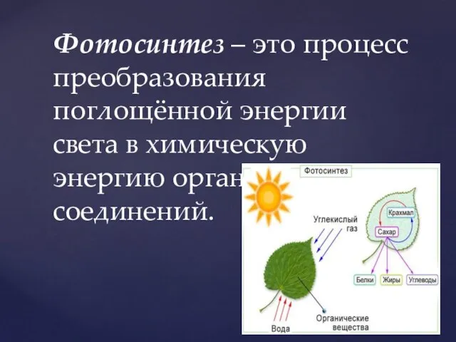 Фотосинтез – это процесс преобразования поглощённой энергии света в химическую энергию органических соединений.