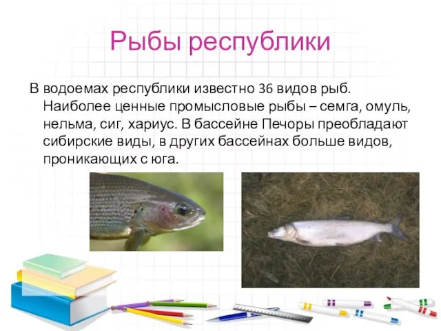 Рыбы республики В водоемах республики известно 36 видов рыб. Наиболее ценные промысловые