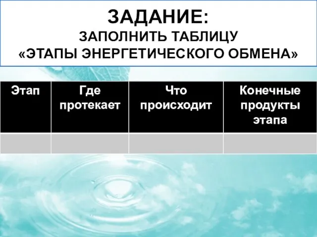 ЗАДАНИЕ: ЗАПОЛНИТЬ ТАБЛИЦУ «ЭТАПЫ ЭНЕРГЕТИЧЕСКОГО ОБМЕНА»