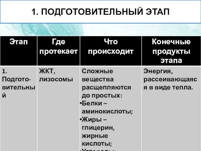 1. ПОДГОТОВИТЕЛЬНЫЙ ЭТАП