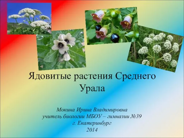 Презентация на тему Ядовитые растения Среднего Урала