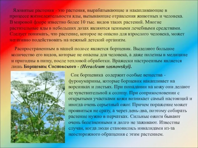 Ядовитые растения - это растения, вырабатывающие и накапливающие в процессе жизнедеятельности яды,