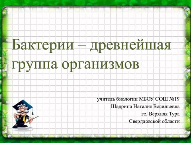 Презентация на тему Бактерии - древнейшая форма организмов