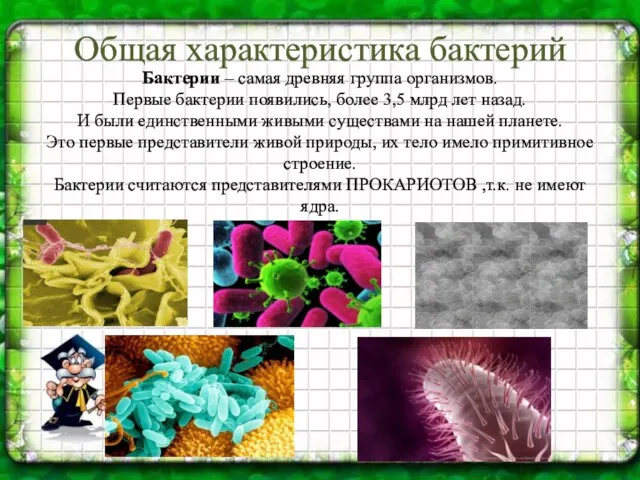 Общая характеристика бактерий Бактерии – самая древняя группа организмов. Первые бактерии появились,