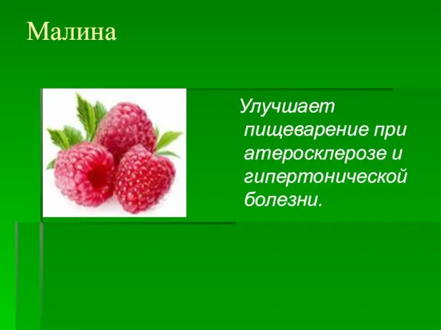 Малина Улучшает пищеварение при атеросклерозе и гипертонической болезни.